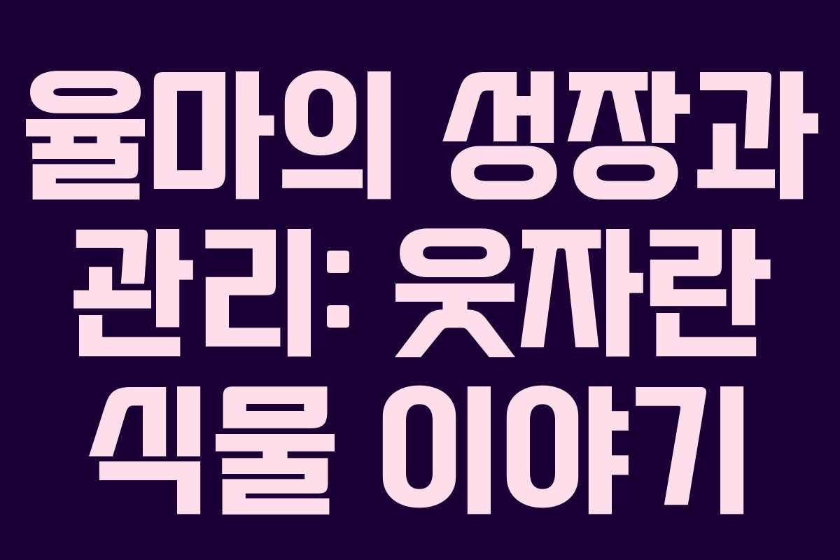 율마의 성장과 관리: 웃자란 식물 이야기