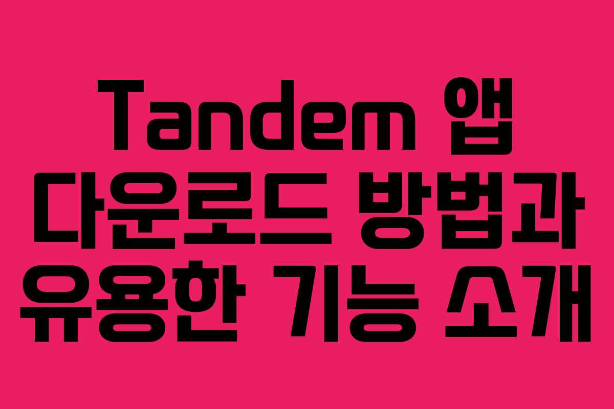Tandem 앱 다운로드 방법과 유용한 기능 소개
