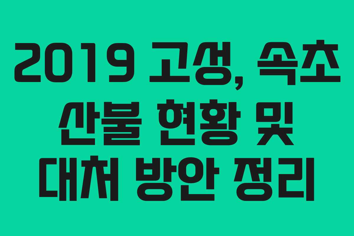 2019 고성, 속초 산불 현황 및 대처 방안 정리