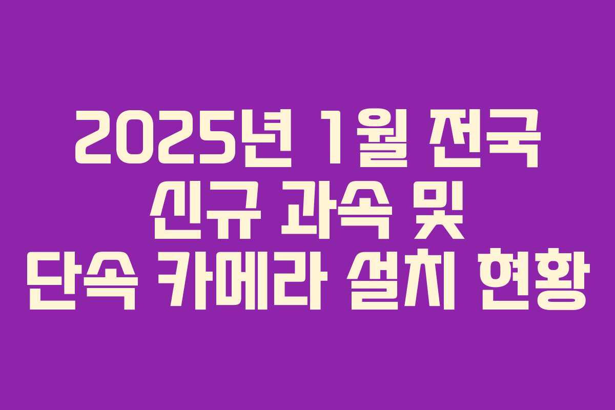 2025년 1월 전국 신규 과속 및 단속 카메라 설치 현황