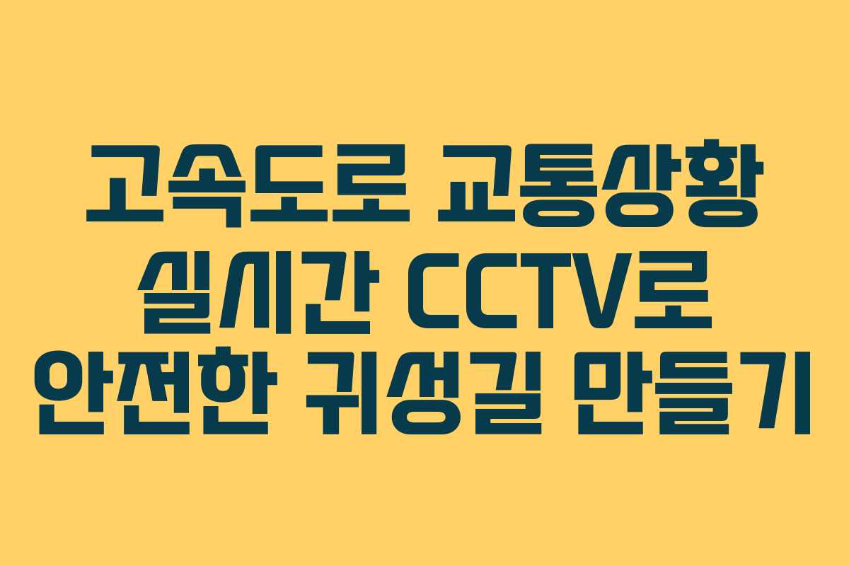 고속도로 교통상황 실시간 CCTV로 안전한 귀성길 만들기
