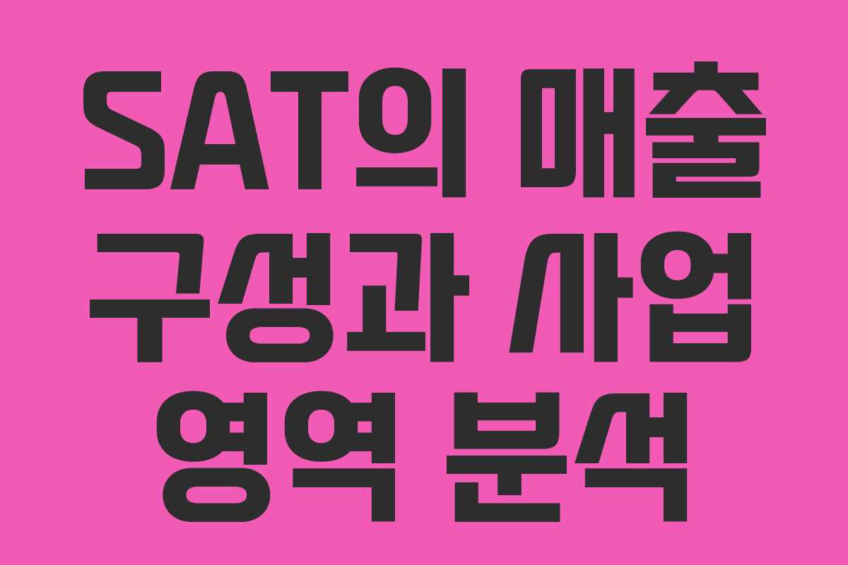SAT의 매출 구성과 사업 영역 분석