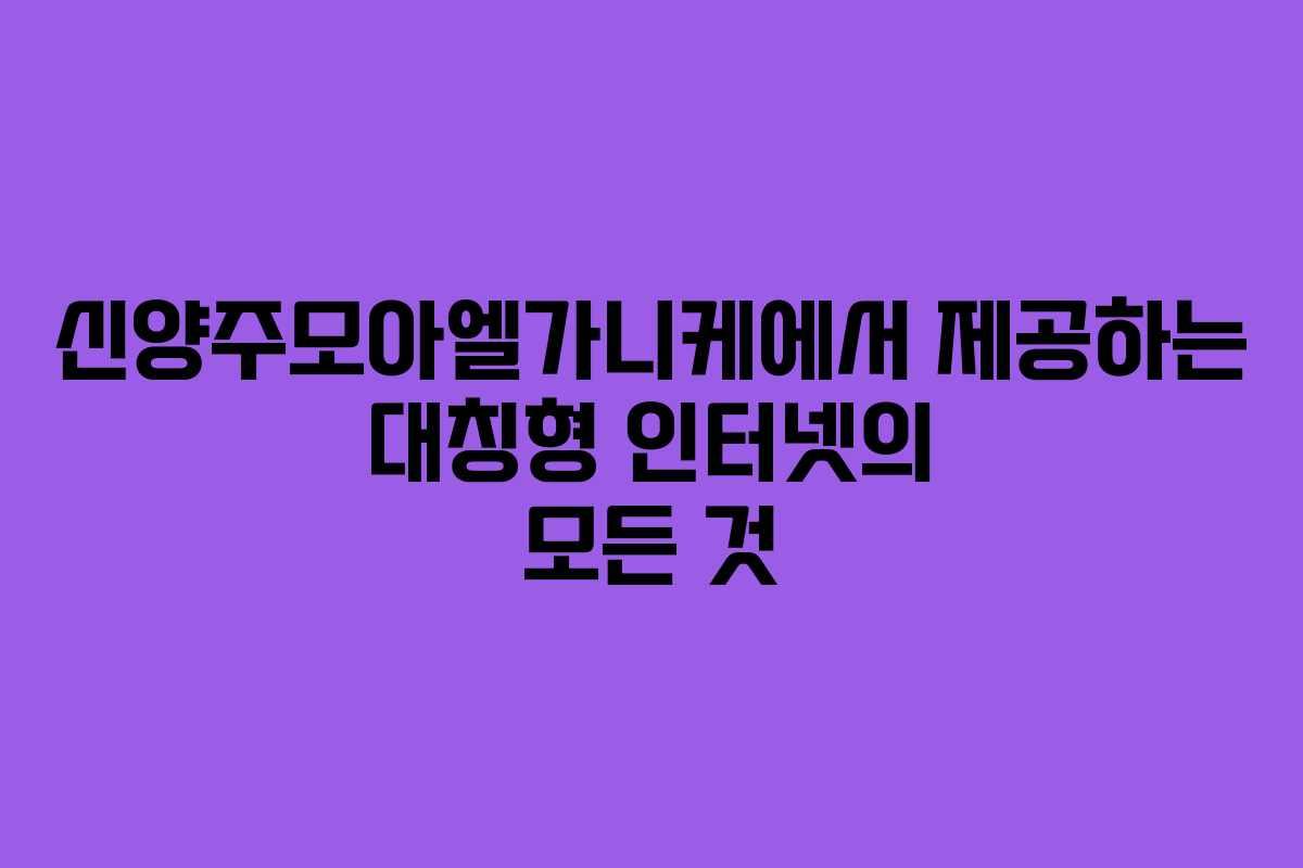신양주모아엘가니케에서 제공하는 대칭형 인터넷의 모든 것