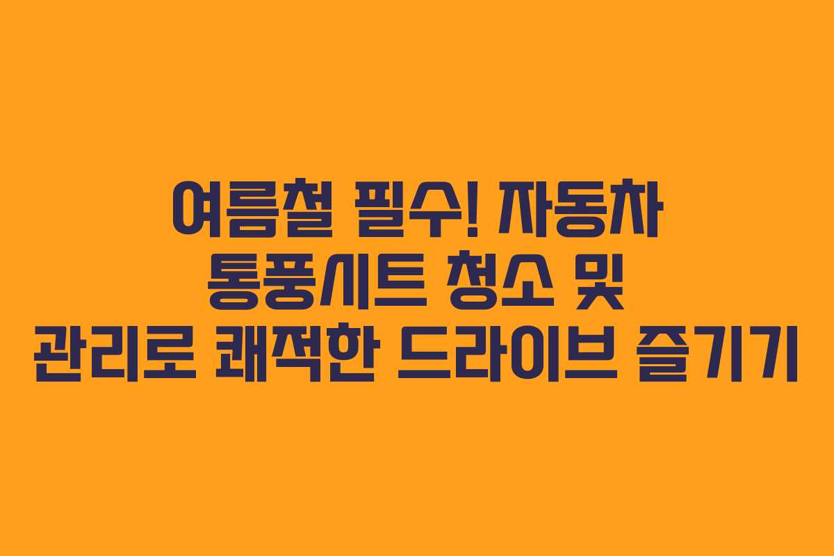 여름철 필수! 자동차 통풍시트 청소 및 관리로 쾌적한 드라이브 즐기기