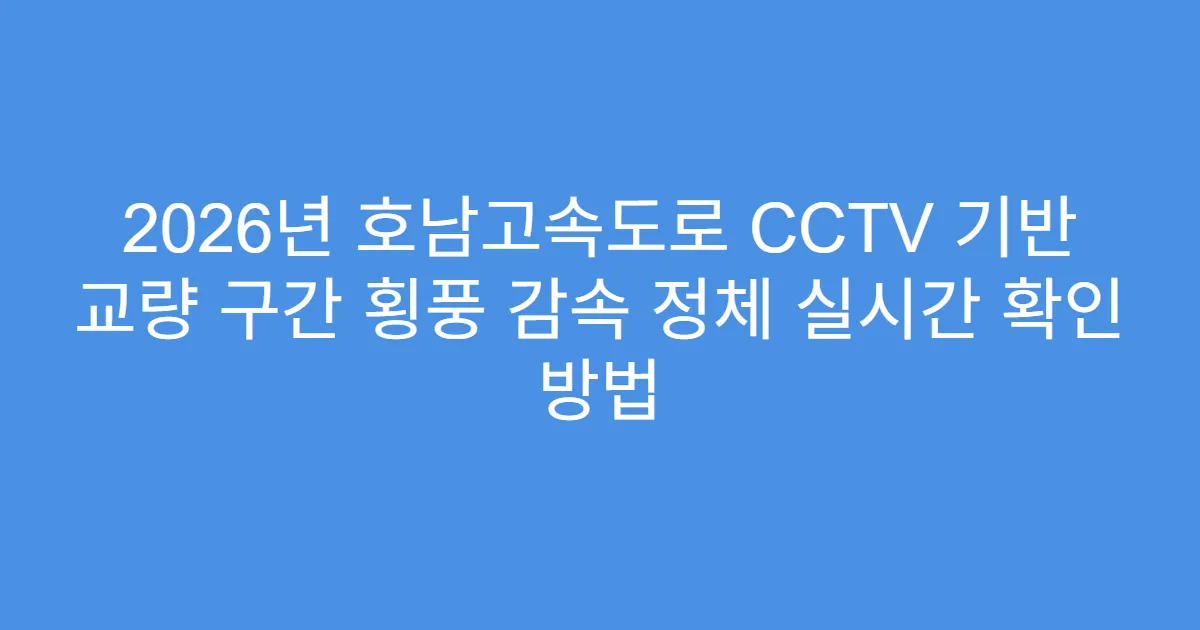 2026년 호남고속도로 CCTV 기반 교량 구간 횡풍 감속 정체 실시간 확인 방법