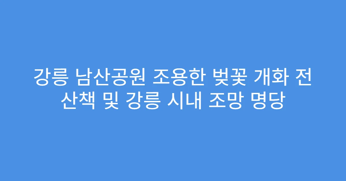 강릉 남산공원 조용한 벚꽃 개화 전 산책 및 강릉 시내 조망 명당