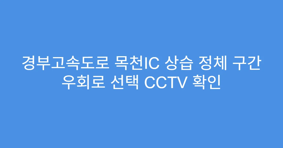 경부고속도로 목천IC 상습 정체 구간 우회로 선택 CCTV 확인