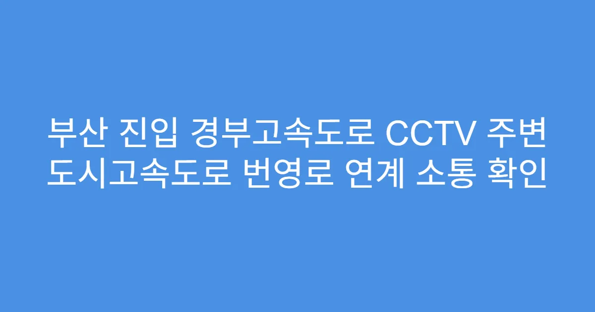 부산 진입 경부고속도로 CCTV 주변 도시고속도로 번영로 연계 소통 확인