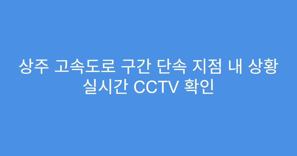 상주 고속도로 구간 단속 지점 내 상황 실시간 CCTV 확인