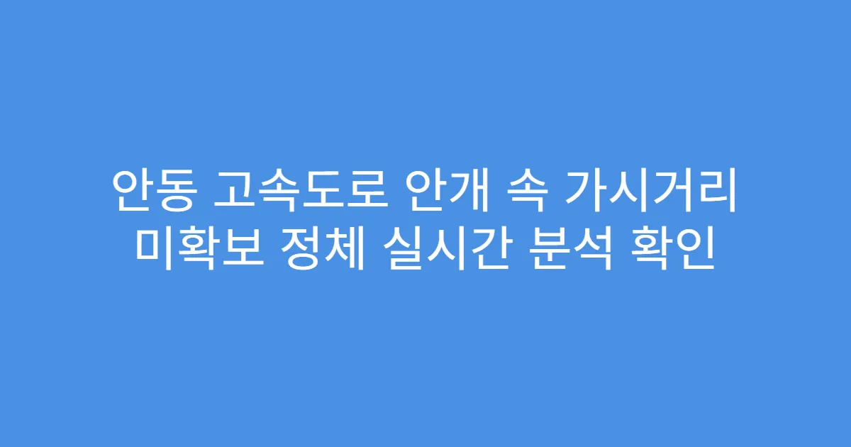 안동 고속도로 안개 속 가시거리 미확보 정체 실시간 분석 확인