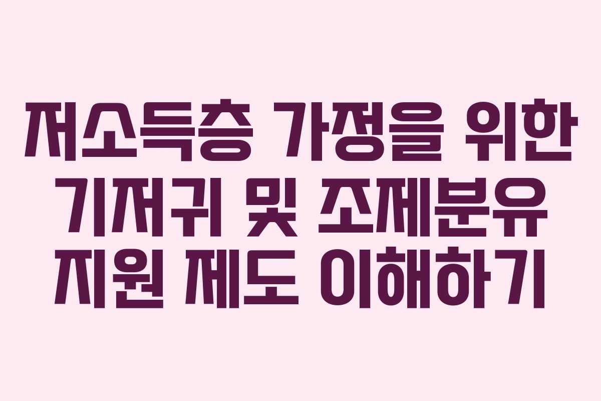 저소득층 가정을 위한 기저귀 및 조제분유 지원 제도 이해하기