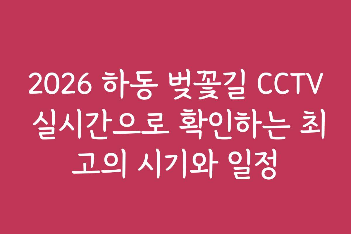2026 하동 벚꽃길 CCTV 실시간으로 확인하는 최고의 시기와 일정