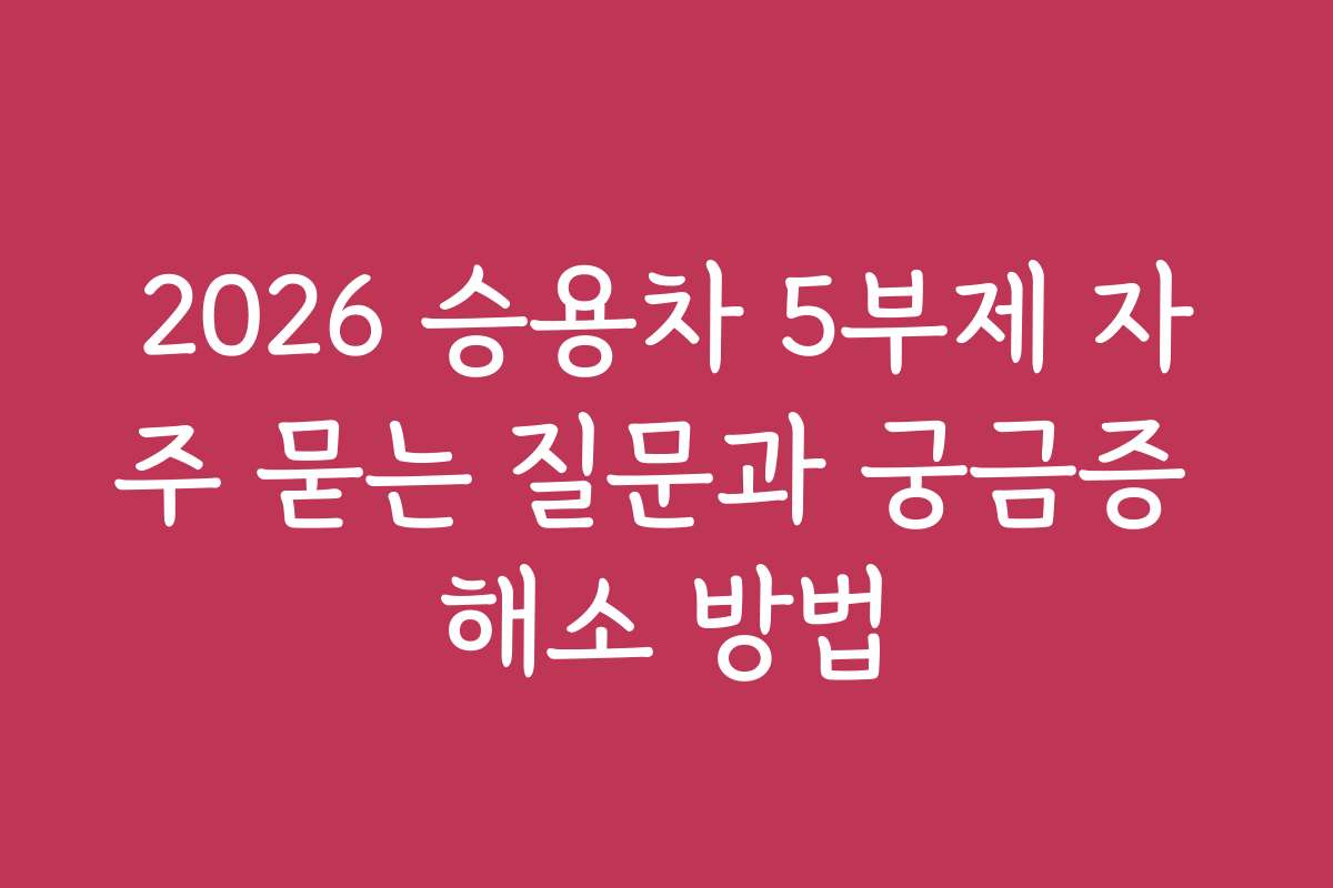2026 승용차 5부제 자주 묻는 질문과 궁금증 해소 방법