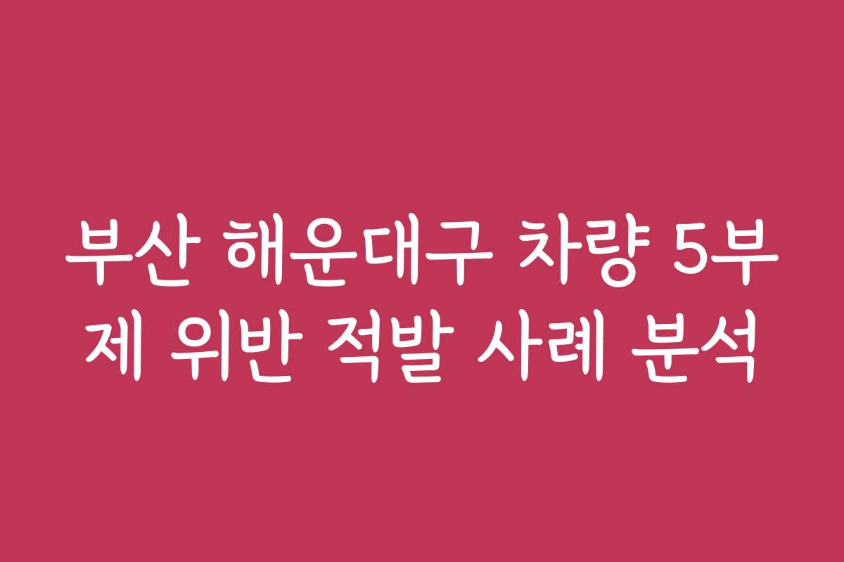 부산 해운대구 차량 5부제 위반 적발 사례 분석