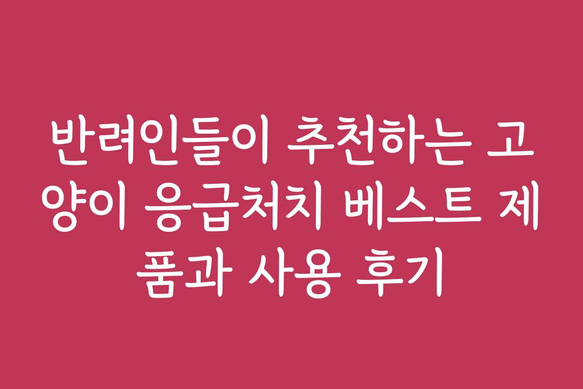 반려인들이 추천하는 고양이 응급처치 베스트 제품과 사용 후기