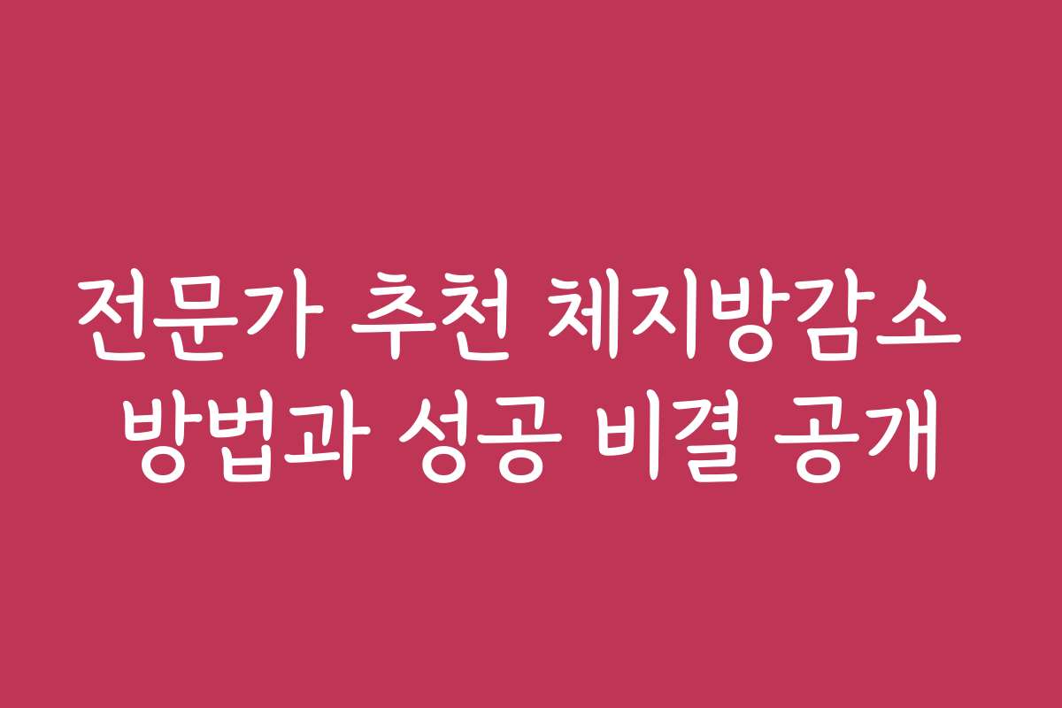 전문가 추천 체지방감소 방법과 성공 비결 공개