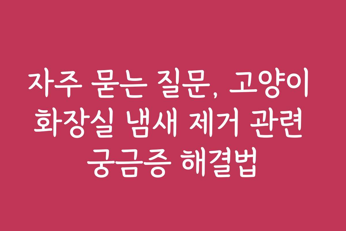 자주 묻는 질문, 고양이 화장실 냄새 제거 관련 궁금증 해결법