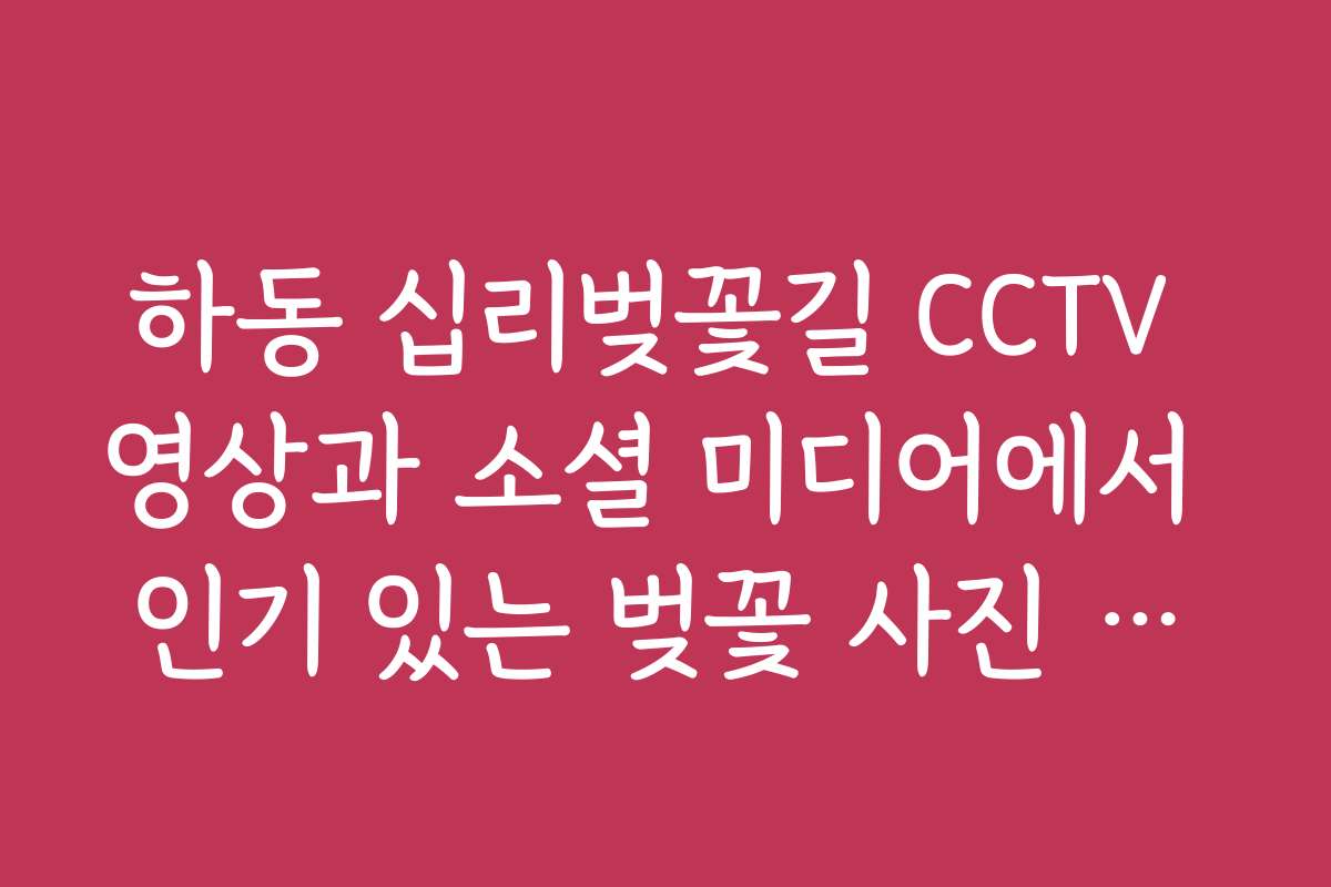 하동 십리벚꽃길 CCTV 영상과 소셜 미디어에서 인기 있는 벚꽃 사진 모음