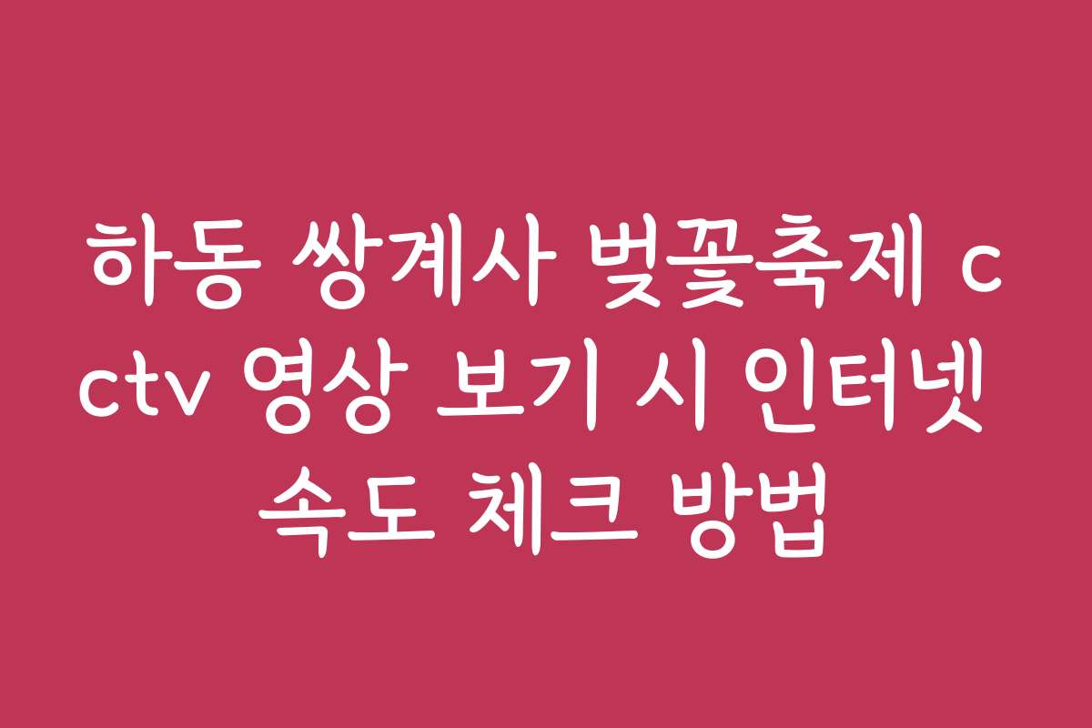 하동 쌍계사 벚꽃축제 cctv 영상 보기 시 인터넷 속도 체크 방법