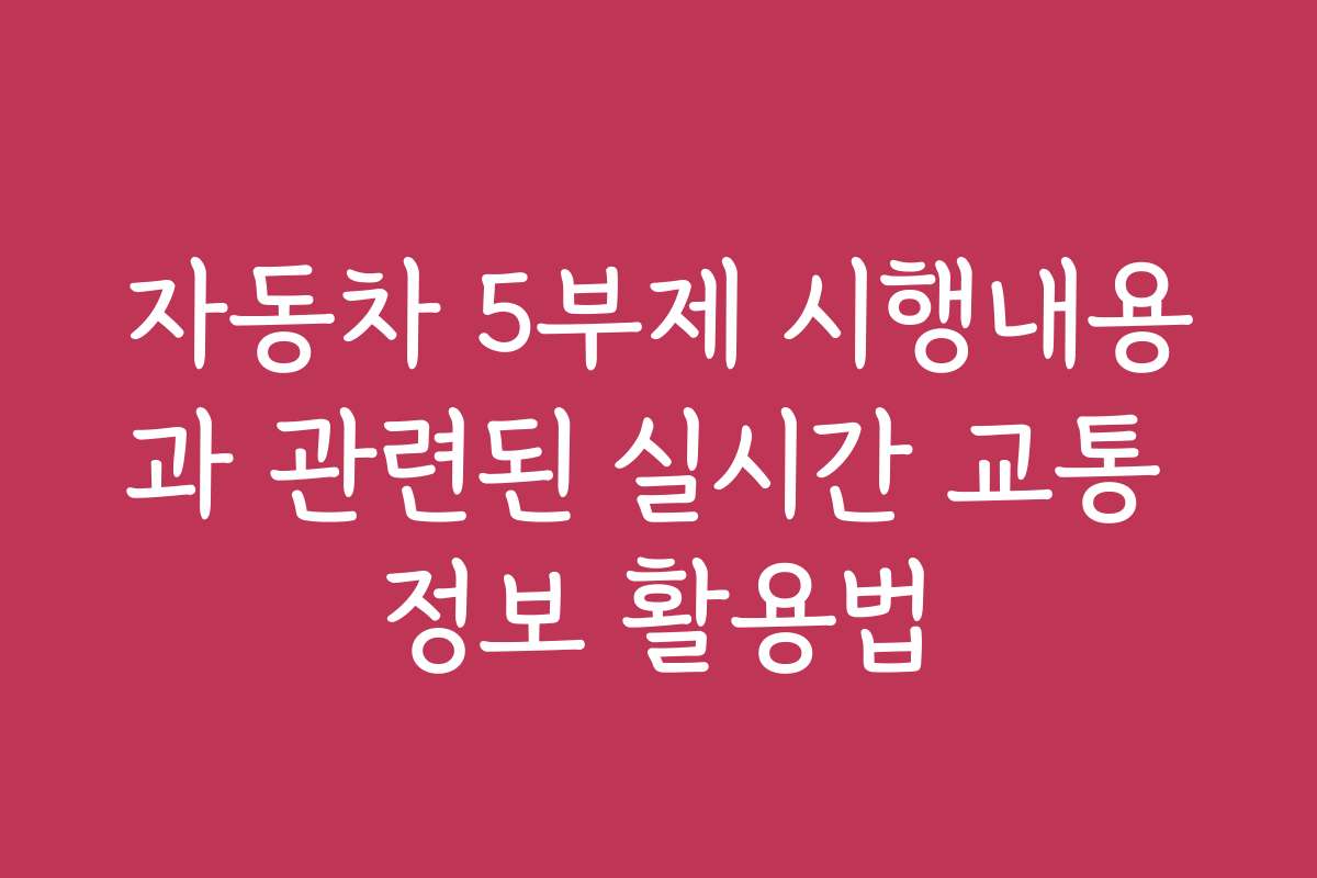 자동차 5부제 시행내용과 관련된 실시간 교통 정보 활용법
