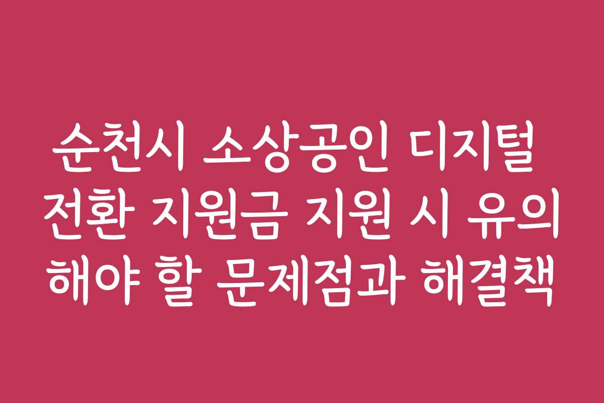 순천시 소상공인 디지털 전환 지원금 지원 시 유의해야 할 문제점과 해결책