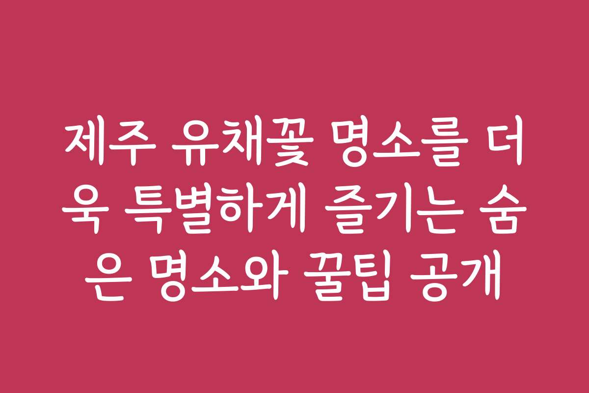 제주 유채꽃 명소를 더욱 특별하게 즐기는 숨은 명소와 꿀팁 공개