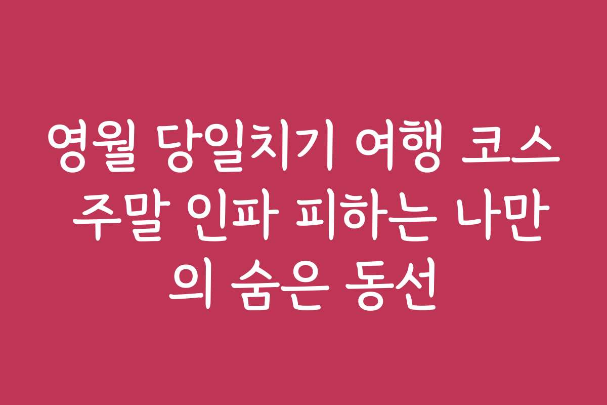 영월 당일치기 여행 코스 주말 인파 피하는 나만의 숨은 동선
