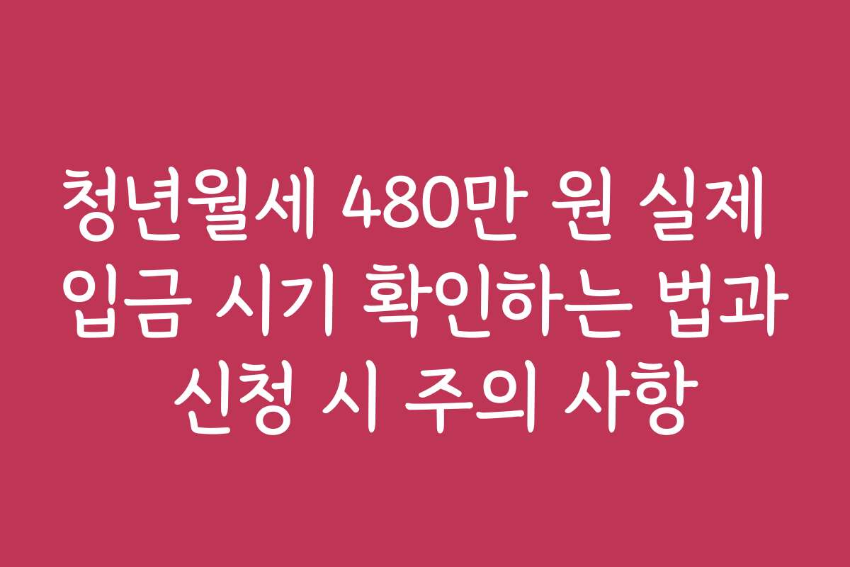 청년월세 480만 원 실제 입금 시기 확인하는 법과 신청 시 주의 사항