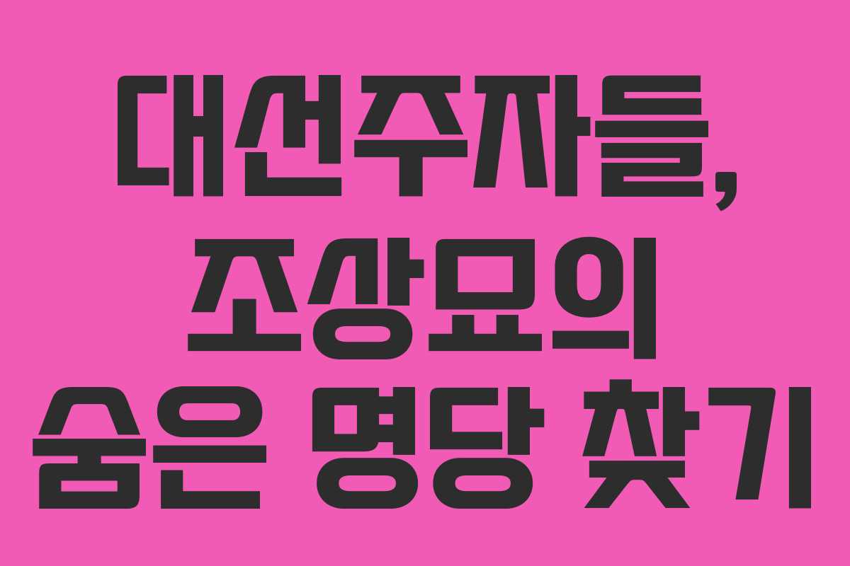 대선주자들, 조상묘의 숨은 명당 찾기