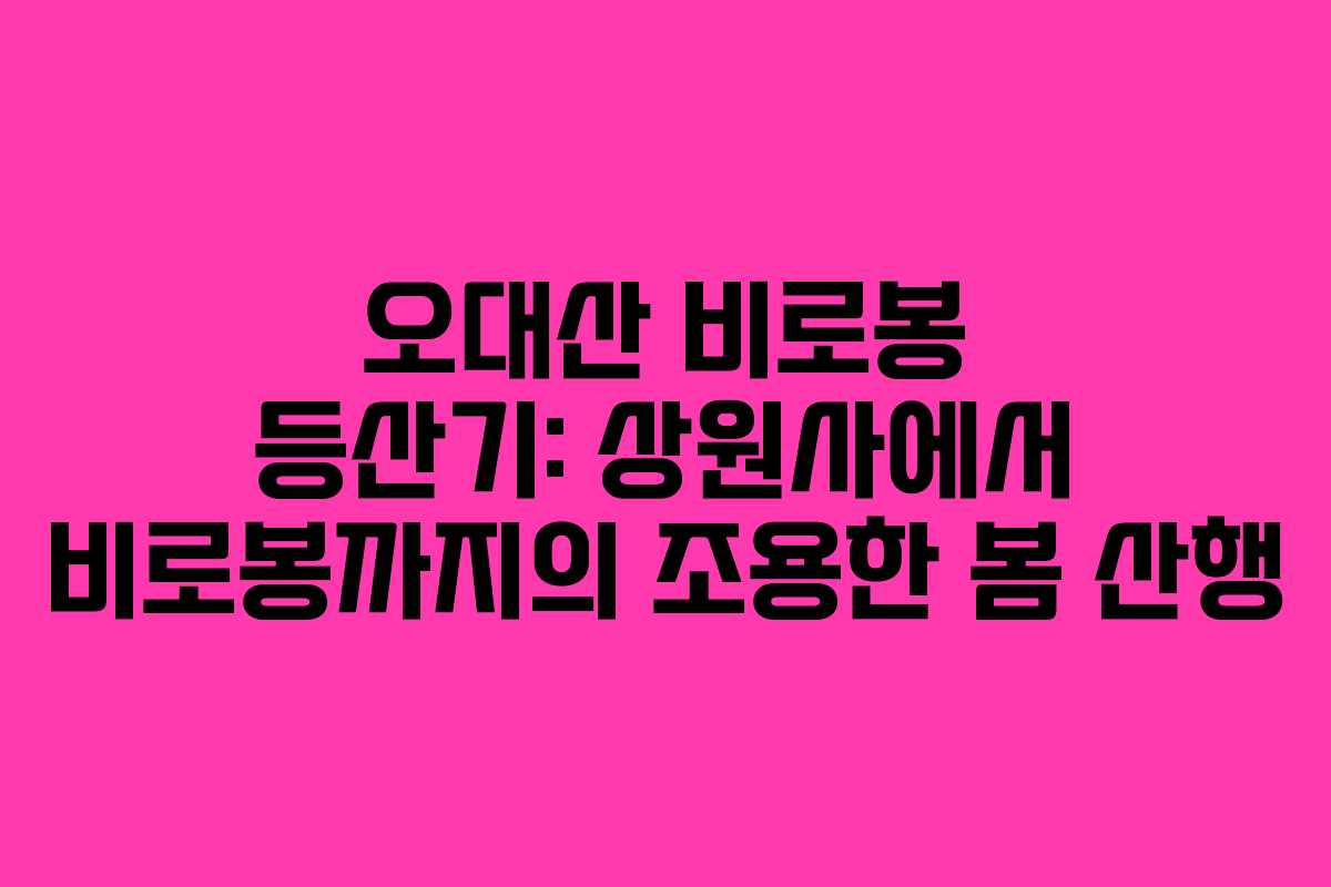 오대산 비로봉 등산기: 상원사에서 비로봉까지의 조용한 봄 산행