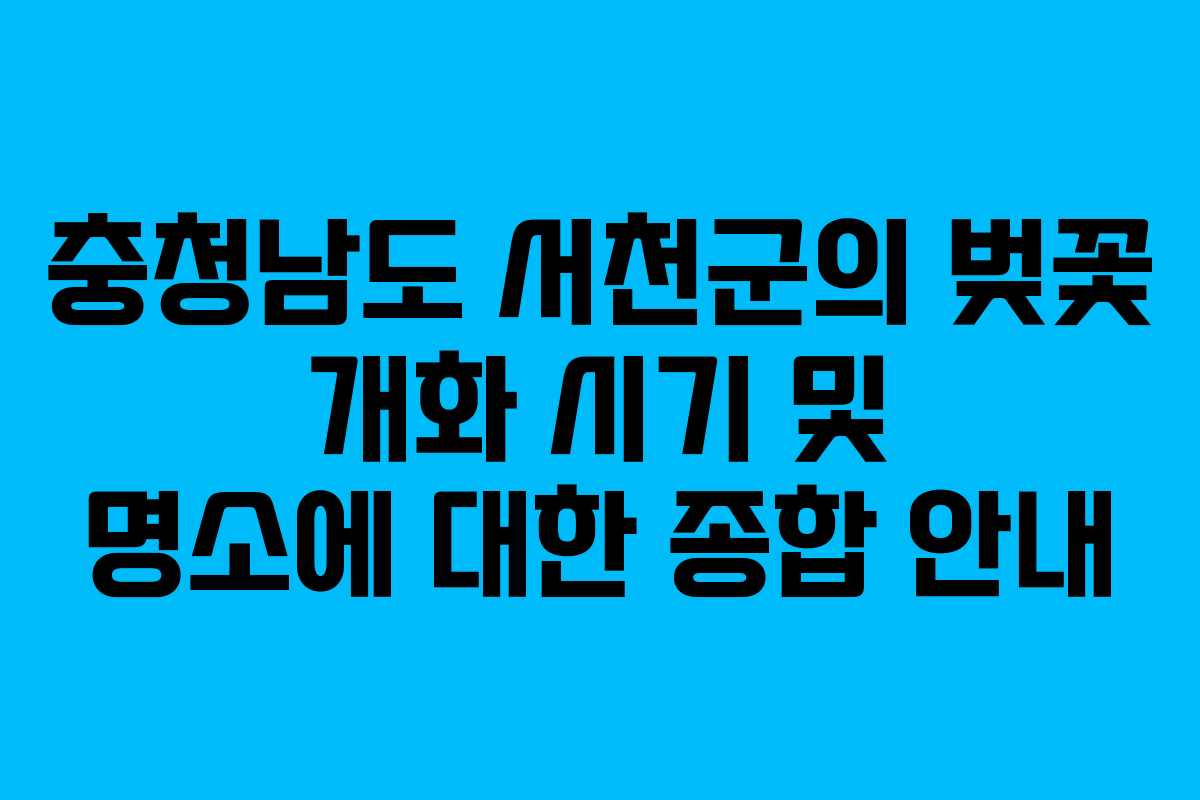 충청남도 서천군의 벚꽃 개화 시기 및 명소에 대한 종합 안내