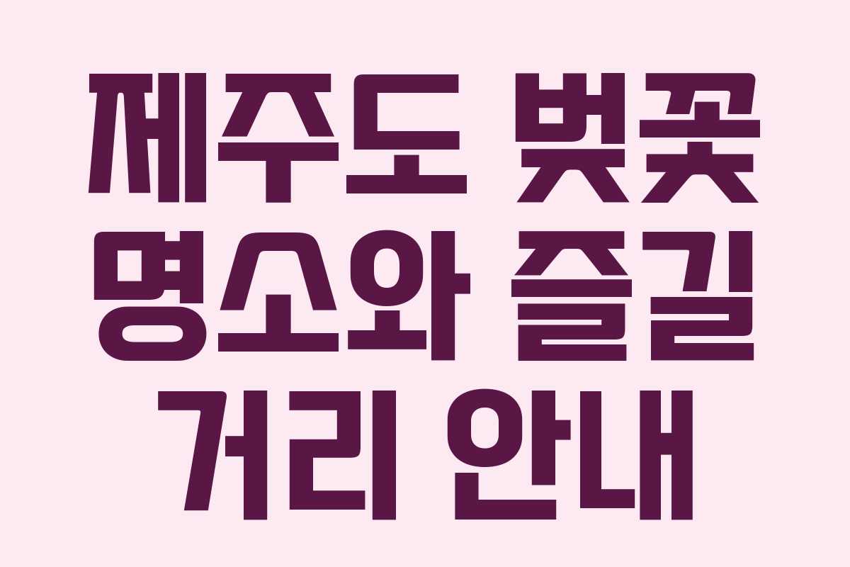 제주도 벚꽃 명소와 즐길 거리 안내