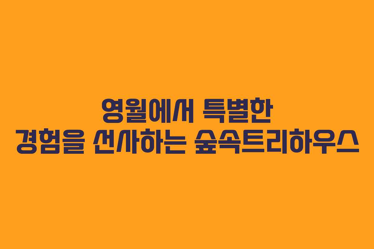 영월에서 특별한 경험을 선사하는 숲속트리하우스