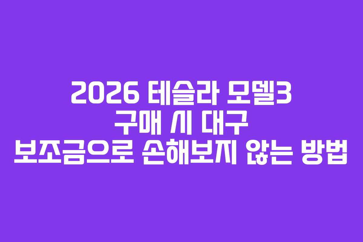 2026 테슬라 모델3 구매 시 대구 보조금으로 손해보지 않는 방법