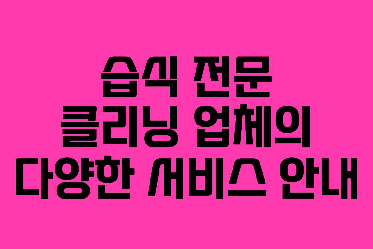 습식 전문 클리닝 업체의 다양한 서비스 안내