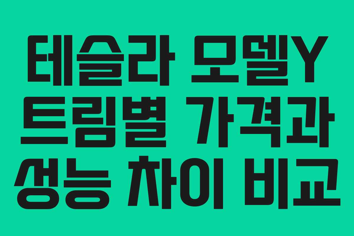 테슬라 모델Y 트림별 가격과 성능 차이 비교