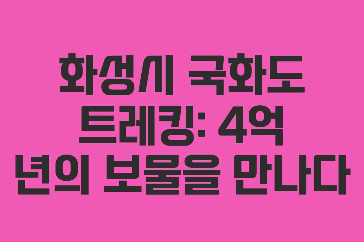 화성시 국화도 트레킹: 4억 년의 보물을 만나다