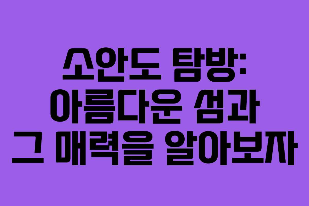 소안도 탐방: 아름다운 섬과 그 매력을 알아보자