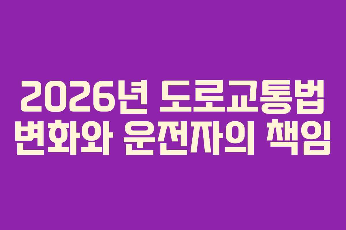 2026년 도로교통법 변화와 운전자의 책임