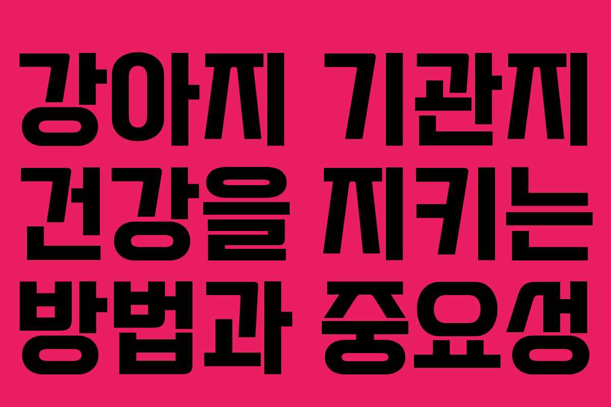 강아지 기관지 건강을 지키는 방법과 중요성
