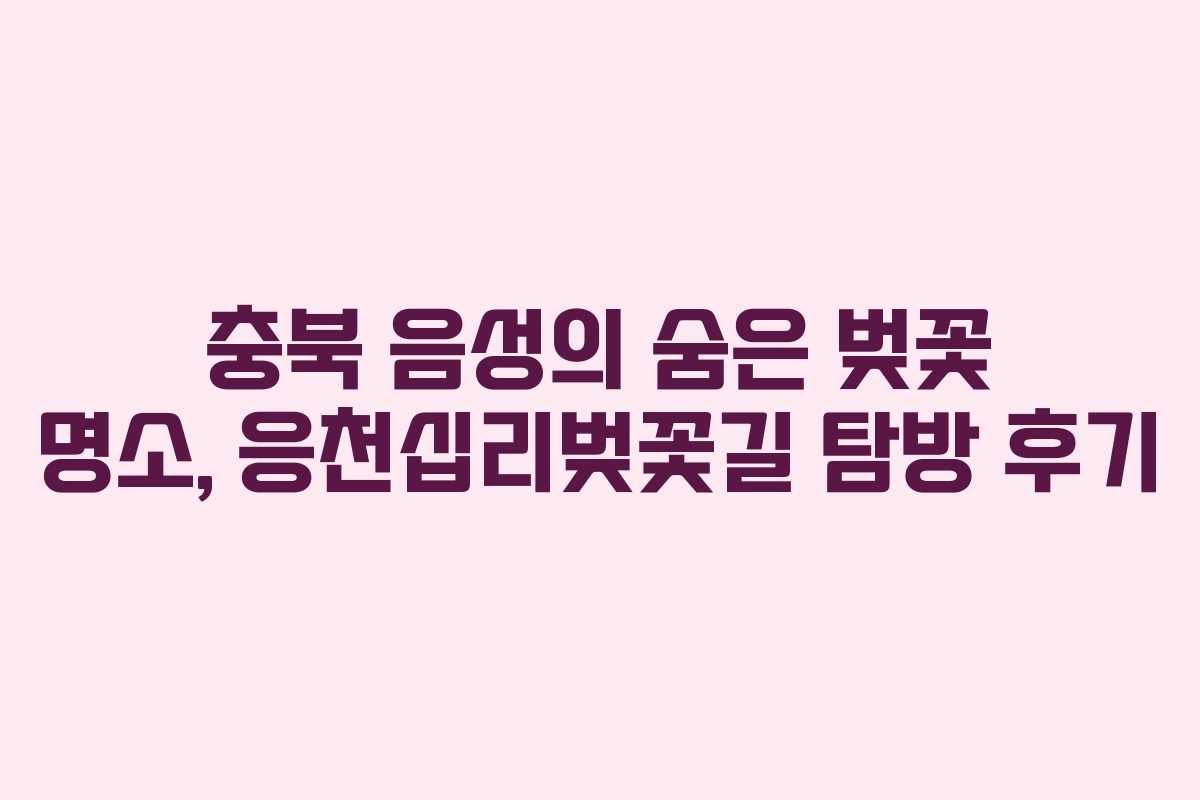 충북 음성의 숨은 벚꽃 명소, 응천십리벚꽃길 탐방 후기