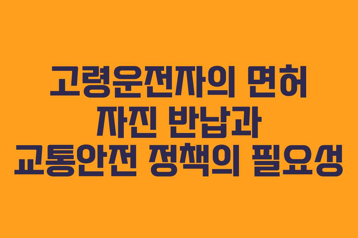 고령운전자의 면허 자진 반납과 교통안전 정책의 필요성