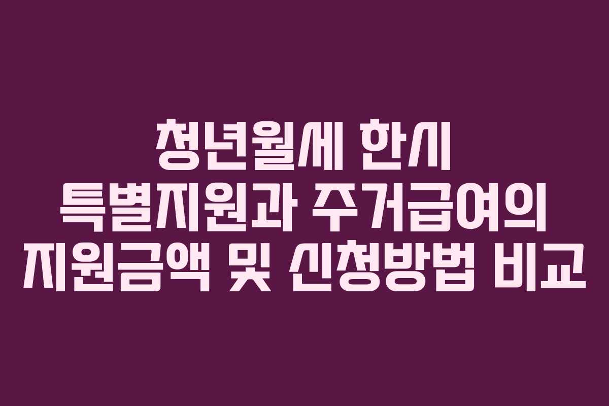 청년월세 한시 특별지원과 주거급여의 지원금액 및 신청방법 비교