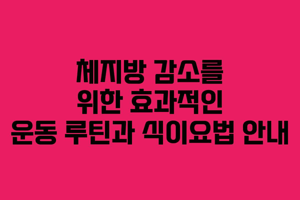체지방 감소를 위한 효과적인 운동 루틴과 식이요법 안내