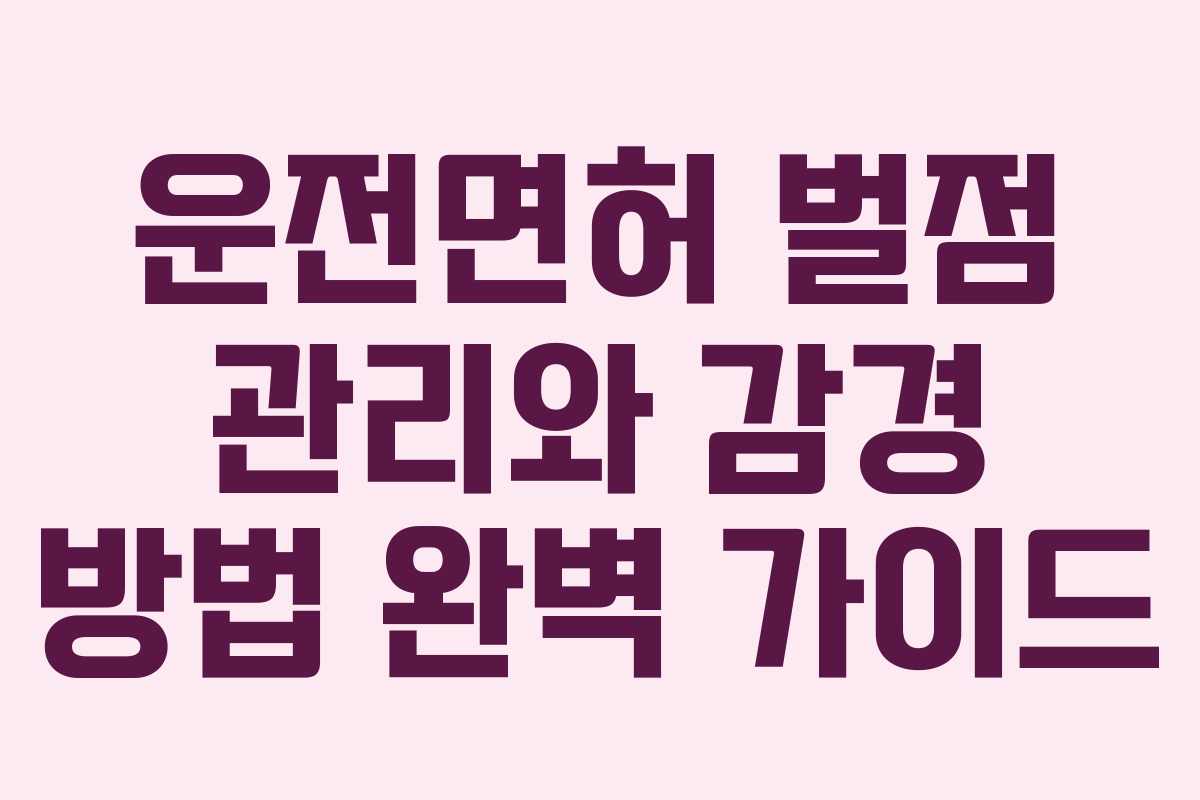 운전면허 벌점 관리와 감경 방법 완벽 가이드