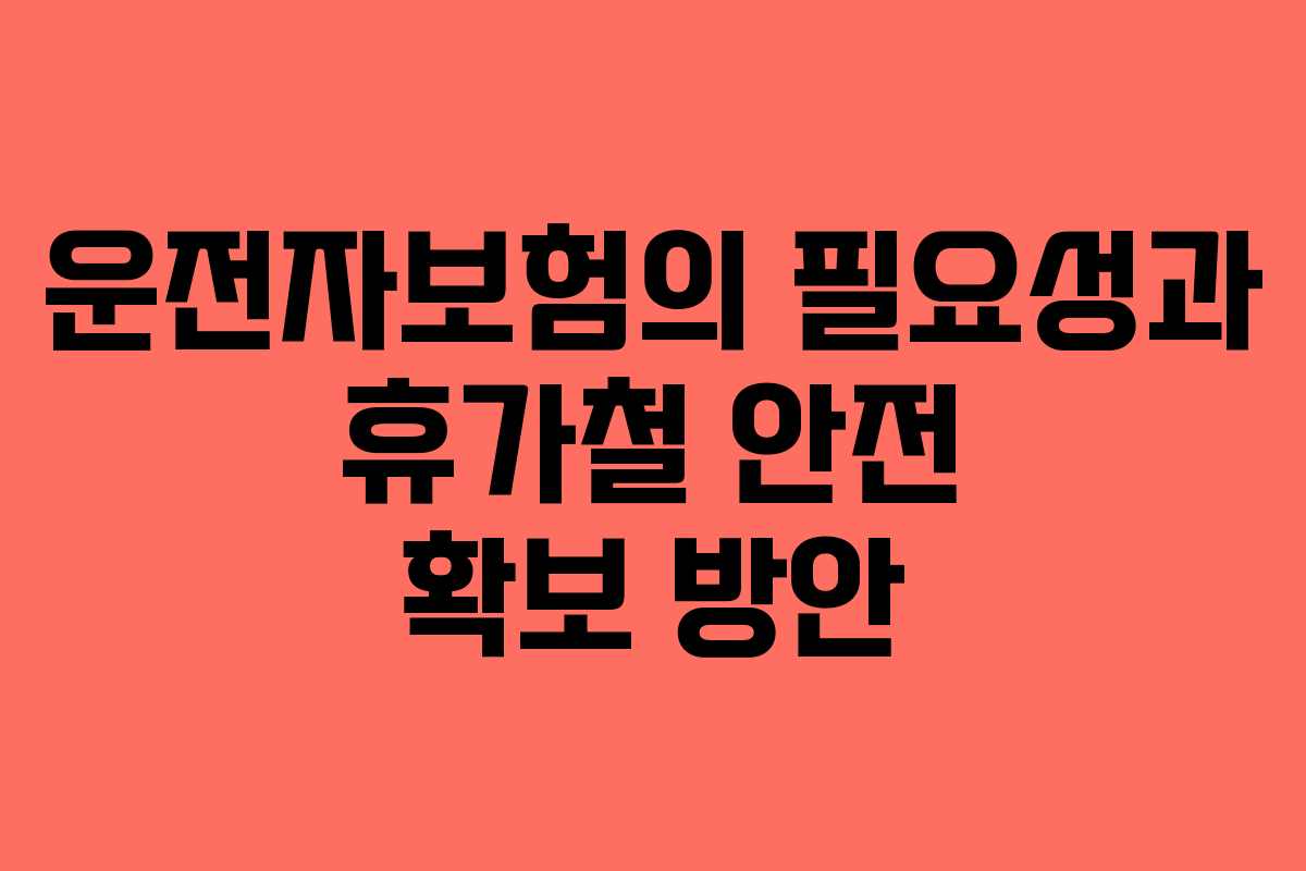 운전자보험의 필요성과 휴가철 안전 확보 방안