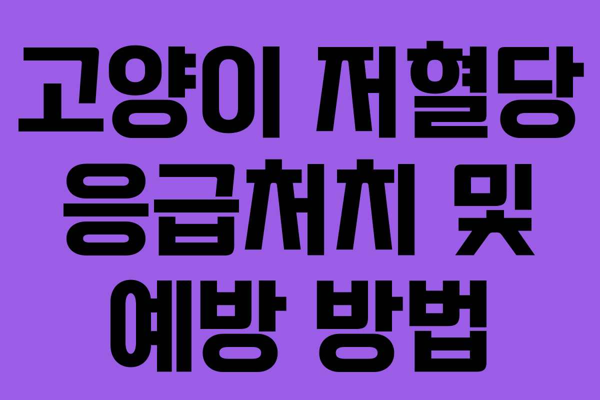 고양이 저혈당 응급처치 및 예방 방법