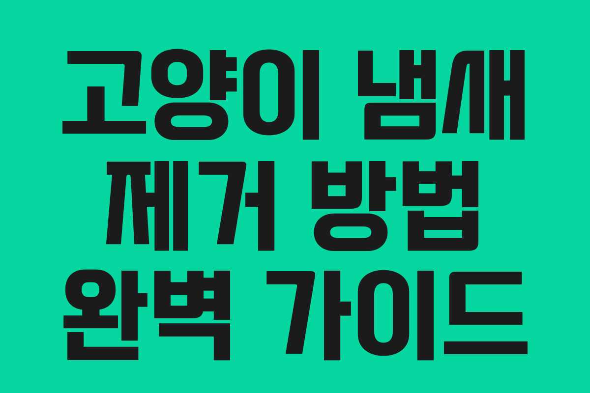 고양이 냄새 제거 방법 완벽 가이드
