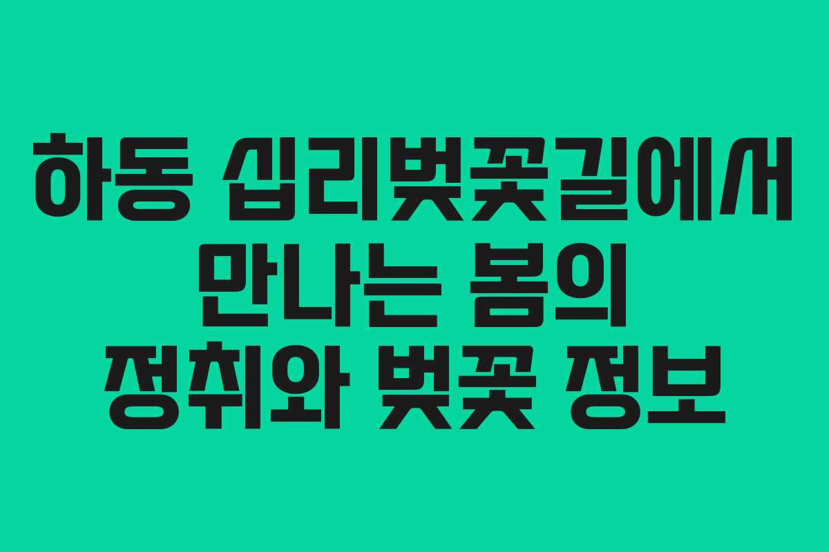 하동 십리벚꽃길에서 만나는 봄의 정취와 벚꽃 정보