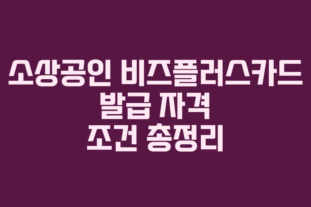 소상공인 비즈플러스카드 발급 자격 조건 총정리